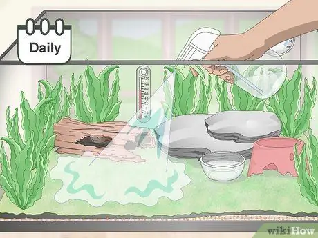 Уход за лягушками-ядовитыми дротиками Шаг 7