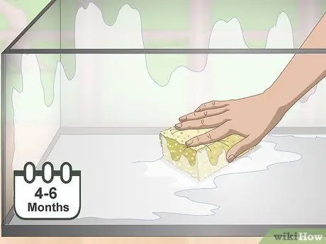 Уход за лягушками с ядовитыми дротиками Шаг 9