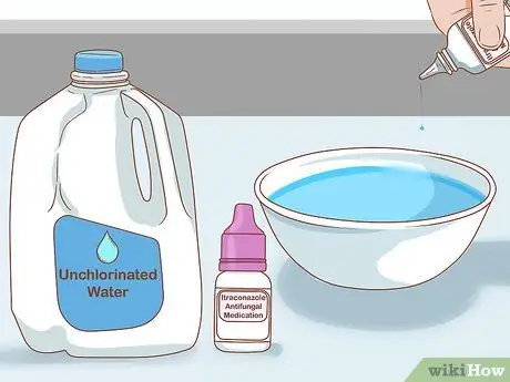 Искупайте лягушку, шаг 12