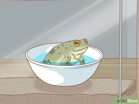 Искупайте лягушку, шаг 3
