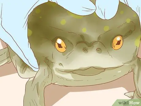 Искупайте лягушку, шаг 7