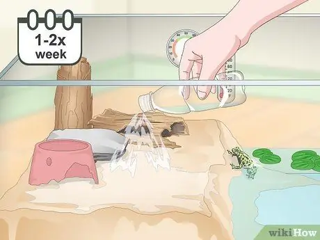 Уход за огнебрюхой жабой (Bombina Orientalis) Шаг 17