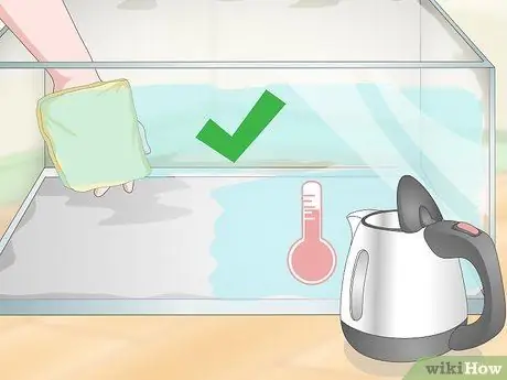 Уход за огнебрюхой жабой (Bombina Orientalis) Шаг 18