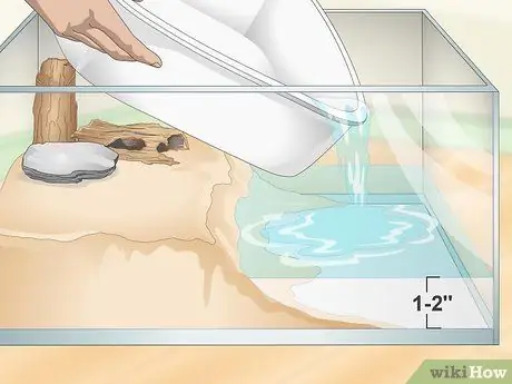 Уход за огнебрюхой жабой (Bombina Orientalis) Шаг 5