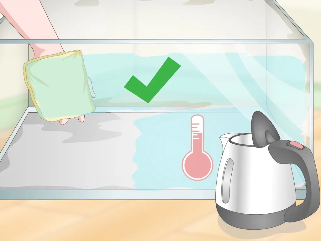 Как ухаживать за огнебрюхой жабой (Bombina Orientalis)