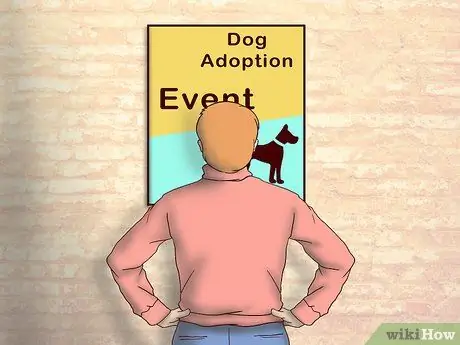 Усыновить приёмную собаку Шаг 1