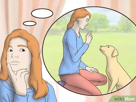 Усыновить приёмную собаку Шаг 11