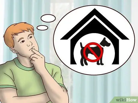 Усыновить приёмную собаку Шаг 12