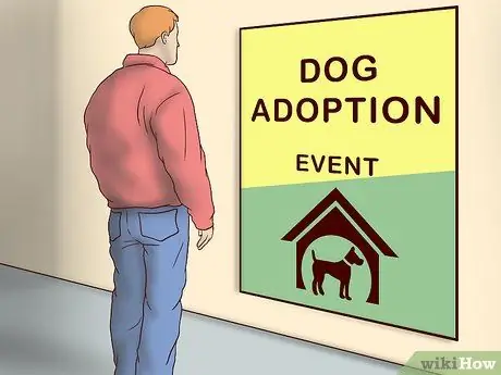 Усыновить приёмную собаку Шаг 13