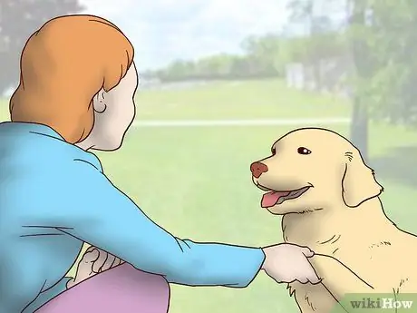 Усыновить приёмную собаку Шаг 15