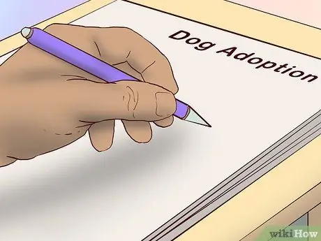 Усыновить приёмную собаку Шаг 17
