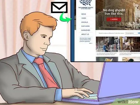 Усыновить приёмную собаку Шаг 3