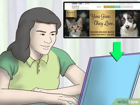 Усыновить приёмную собаку Шаг 4