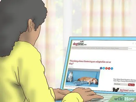 Усыновить приёмную собаку Шаг 5