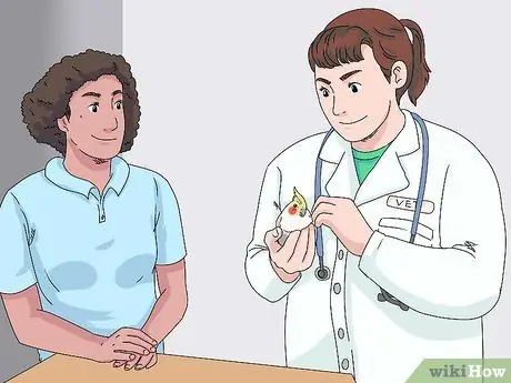 Лечить травмированных корелл, шаг 12