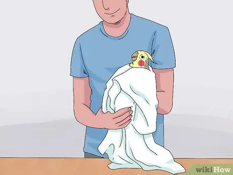 Лечить раненых корелл, шаг 2