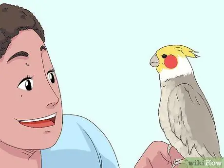 Лечить раненых корелл, шаг 3