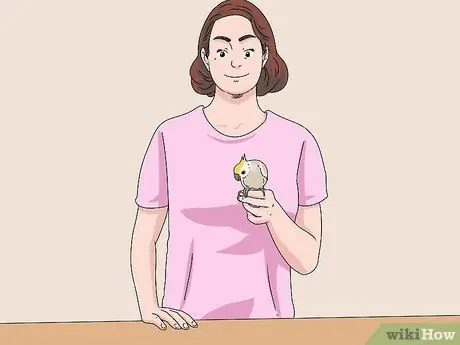 Лечить травмированных корелл, шаг 7