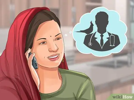 Выберите кореллу Шаг 1