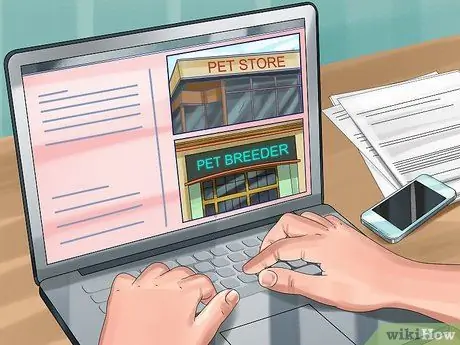 Выберите кореллу Шаг 2