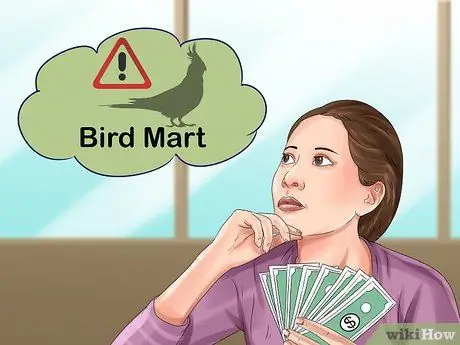 Выберите кореллу Шаг 5