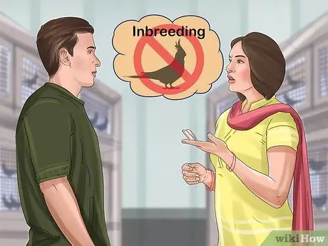 Выберите корелла Шаг 8