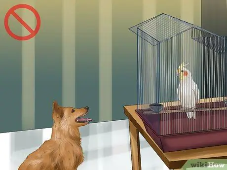 Разберитесь с ночным страхом кореллы, шаг 10