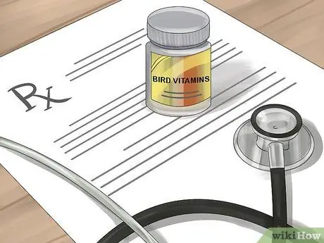 Разберитесь с ночным страхом кореллы, шаг 14