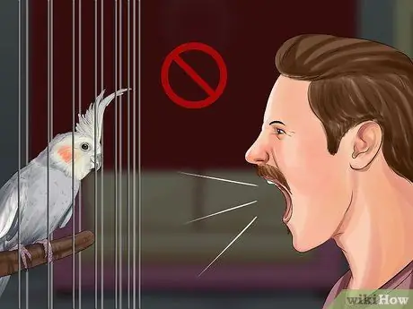 Разберитесь с ночным страхом кореллы, шаг 2