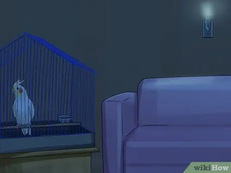 Разобраться с ночным страхом кореллы Шаг 9