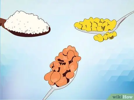 Кормление Кореллы Шаг 11