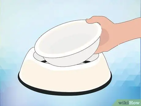 Кормление Кореллы Шаг 5