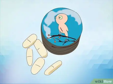 Кормить Кореллы Шаг 8