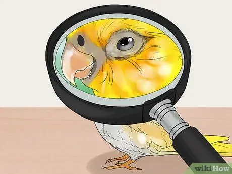 Сохранение нескольких корелл Шаг 12