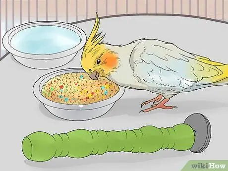 Сохранение нескольких корелл Шаг 8