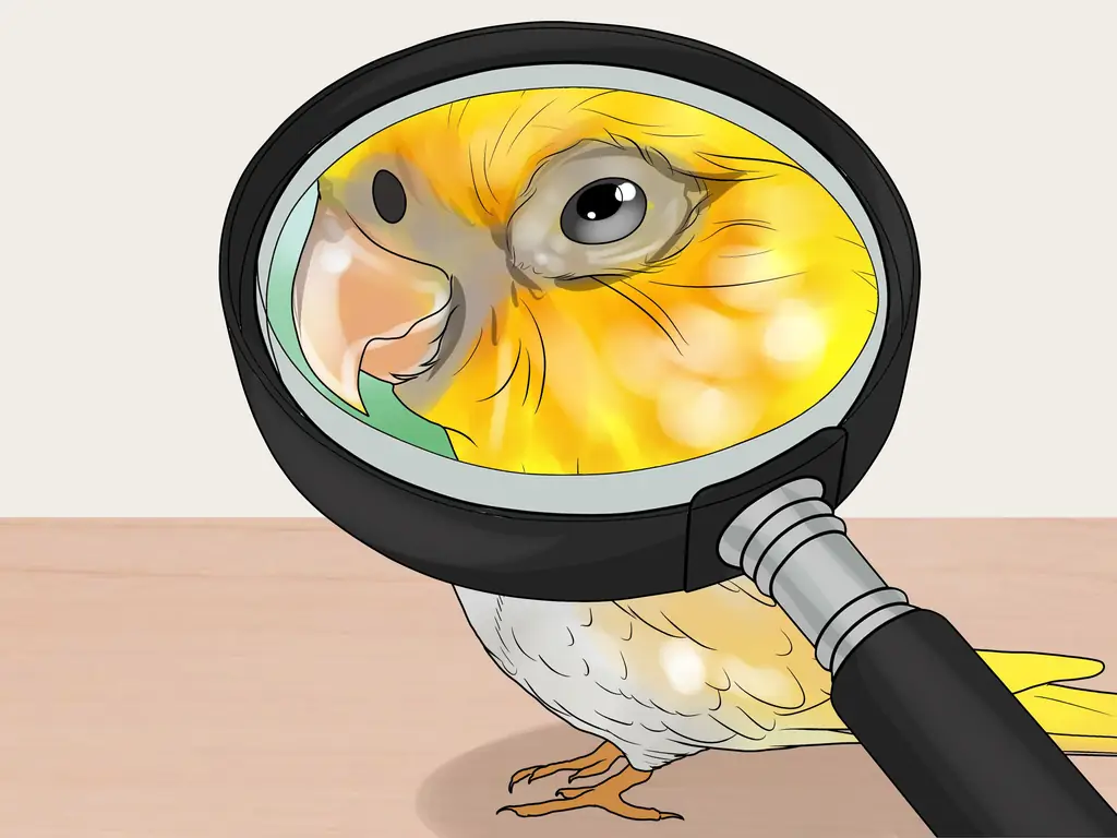 3 способа сохранить несколько корелл