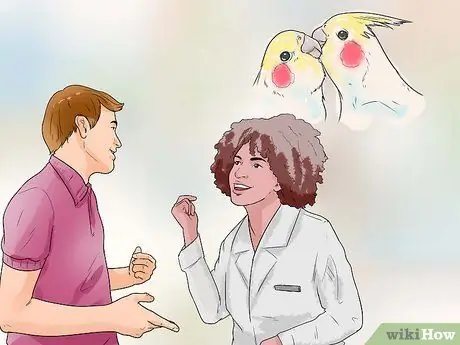 Сохраняйте здоровье корелл во время размножения Шаг 11