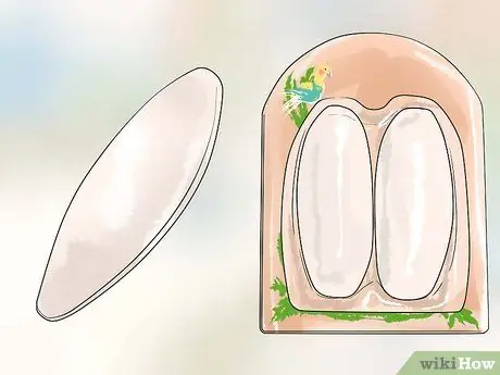 Сохраняйте здоровье корелл во время размножения Шаг 4