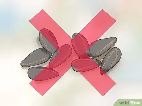 Сохраняйте здоровье корелл во время размножения Шаг 5