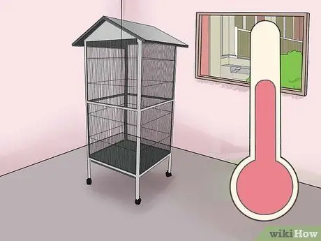 Сохраняйте здоровье корелл во время размножения Шаг 9