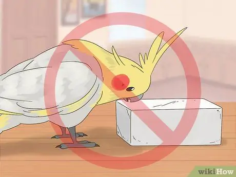 Лечить хламидиоз у корелл Шаг 6