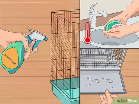 Лечить хламидиоз у корелл Шаг 8