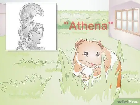 Выберите имя морской свинки Шаг 13