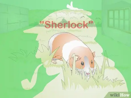 Выберите имя морской свинки Шаг 14