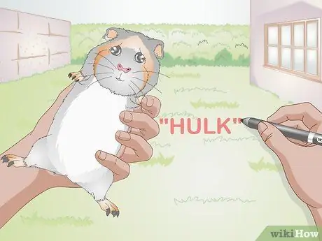 Выберите имя морской свинки, шаг 3