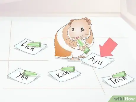 Выберите имя морской свинки Шаг 4