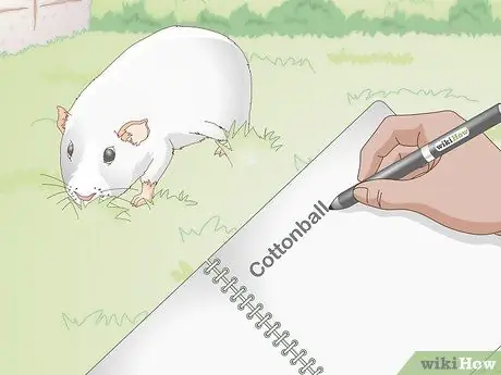 Выберите имя морской свинки Шаг 1