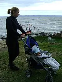 Дневник беременности 6.0: Балатон, мигрень, кровь