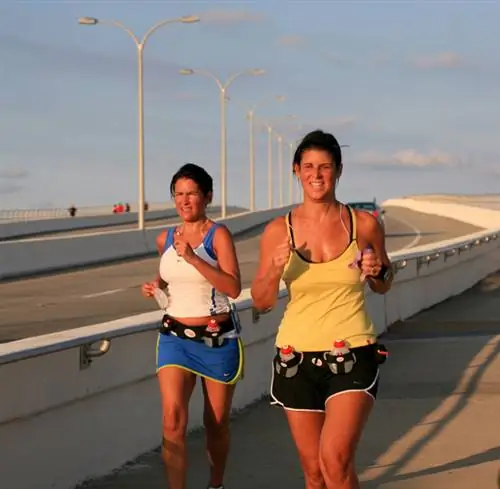 Сарасота Бридж Раннерс