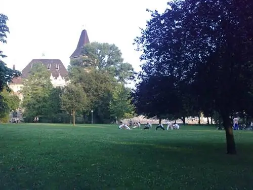 Женщина на поле: Между искушениями и неудачами